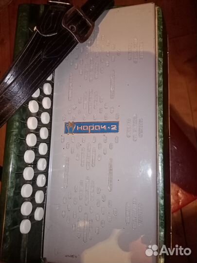 Гармонь нарач 2