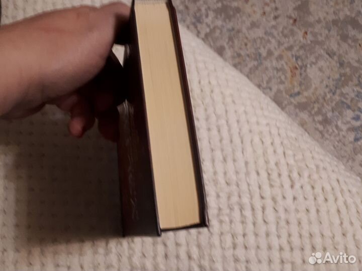 Мелентьев Обыкновенная Мемба