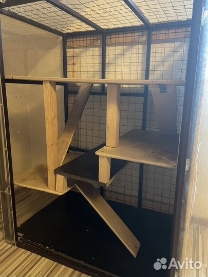Витрина для шиншилл