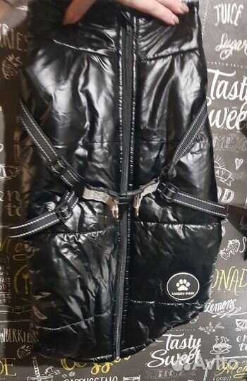 Жилет для амстафф,питбуль