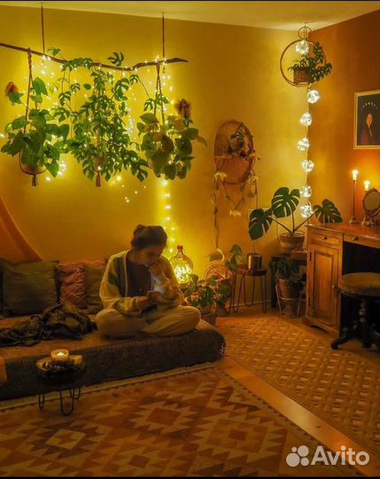 Приют для домашних растений