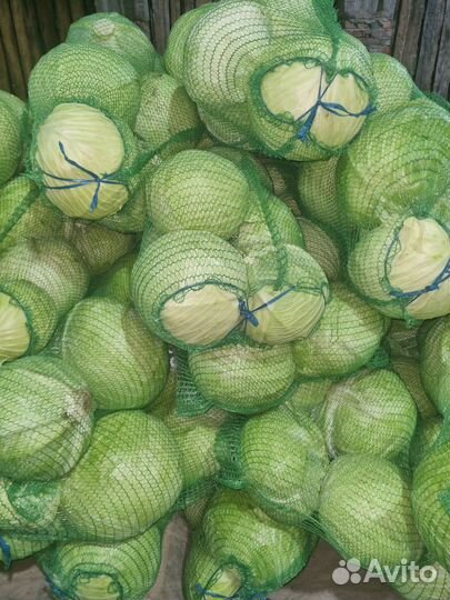 Продам овощи