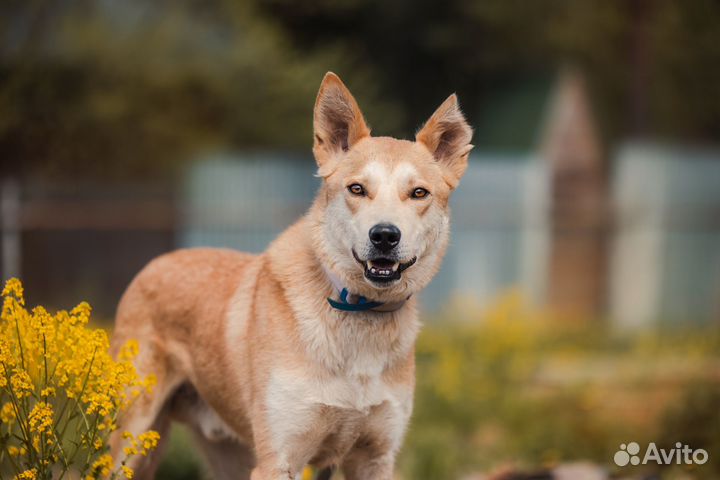 Лэнвилл в ожидании своей семьи