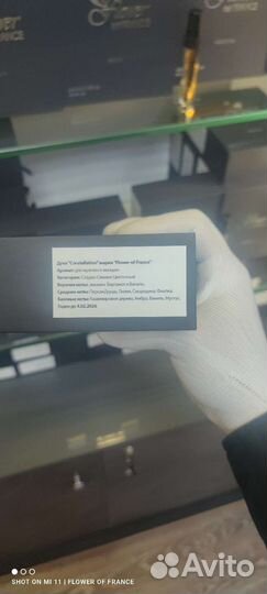 Tiziana terenzi andromeda французский аналог