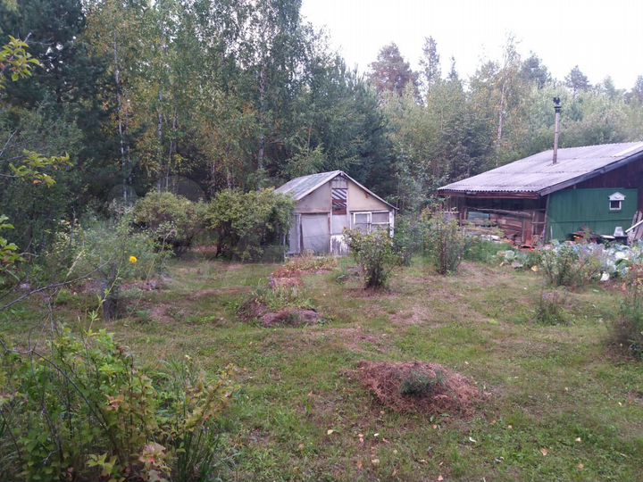 Дача 30 м² на участке 15 сот.