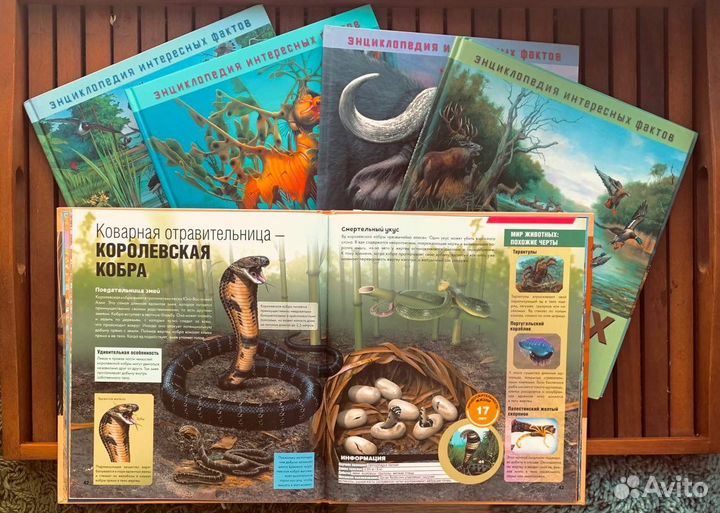 Набор энциклопедий для детей