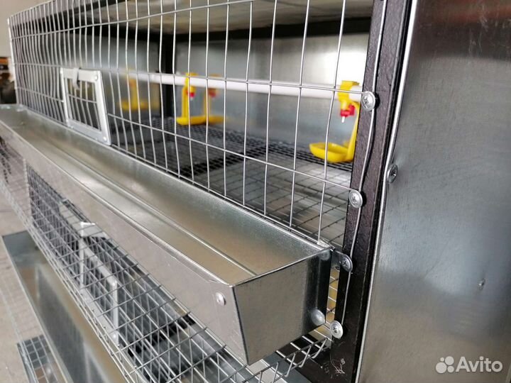 Клетки для перепелов