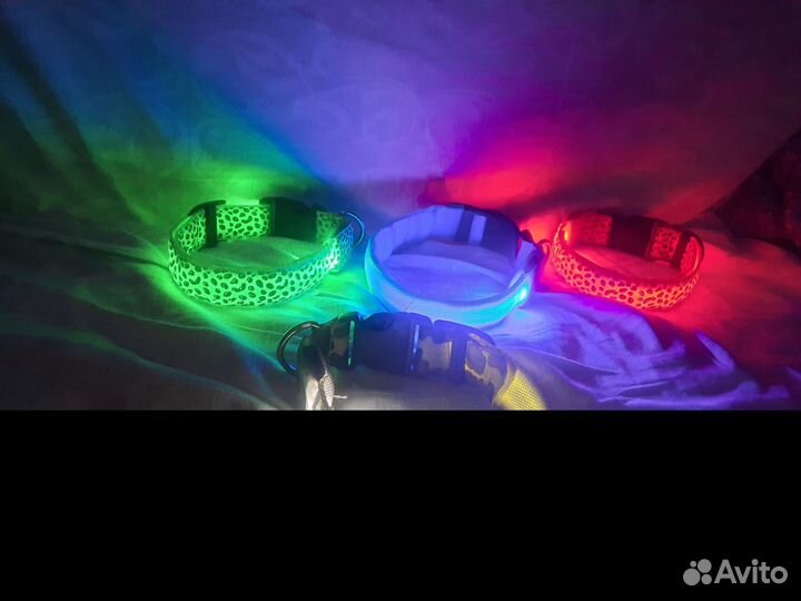 Светящиеся ошейники