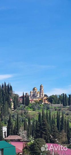 Экскурсии/Трансфер Абхазия- Сочи