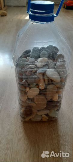 Галька и ракушки