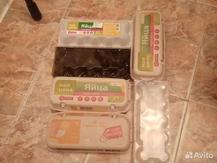 Лотки для яиц