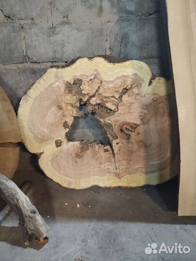 Спил акации, тополя, каштана, дуба