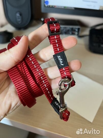 Рулетка поводок ошейник