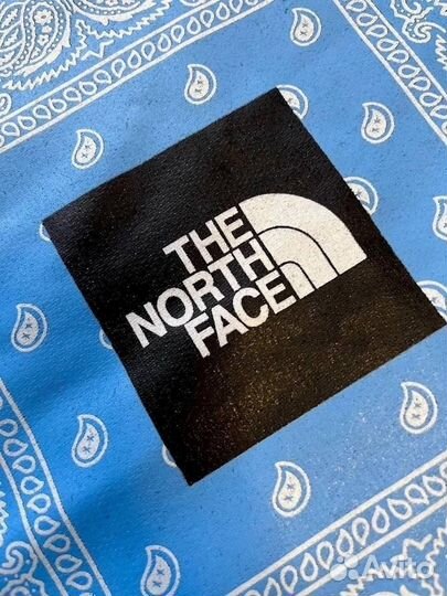 Свитшот TNF