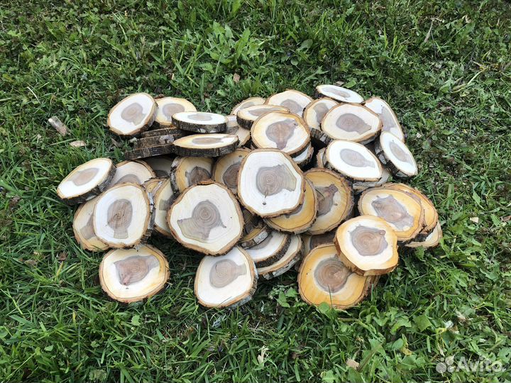 Набор спилов дерева для творчества