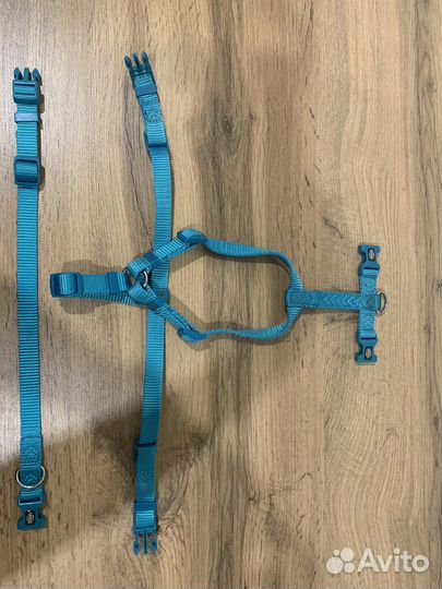 Амуниция для собак