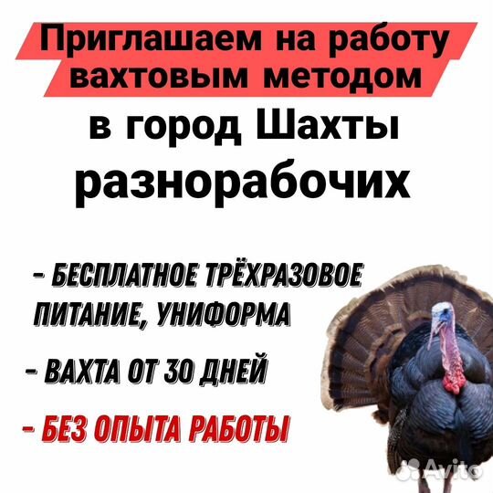 Упаковка/разделка индейки вахтовым метод