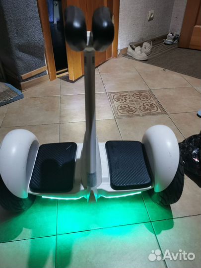 Гироскутер. Segway ninebot mini