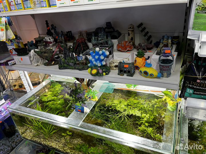 Всё для аквариума в наличии