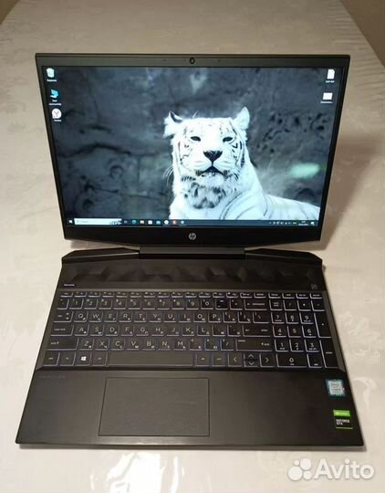 Ноутбук HP на стиле GTX 1660 Ti + core i5-9300