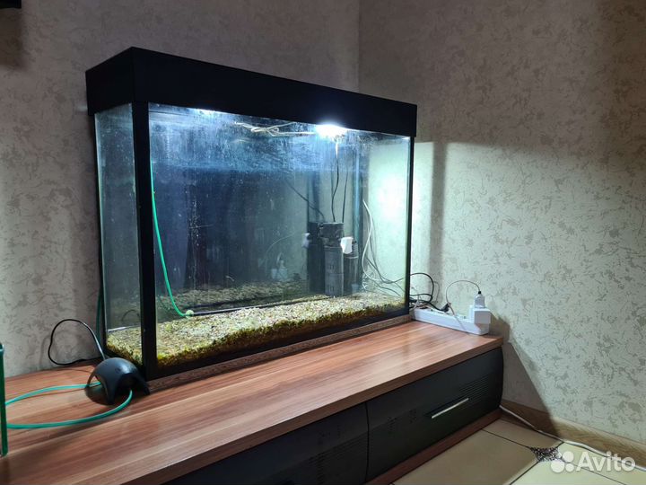 Аквариум