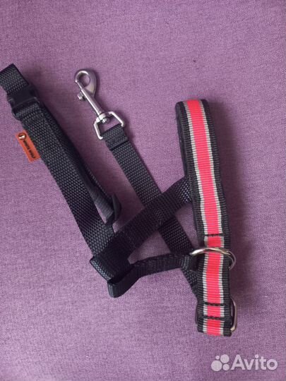 Недоуздок для собак White Wolf (халти, размер S)