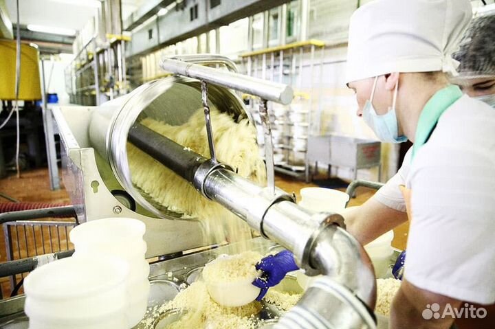 Разнорабочие оплата ежедневно (маслозавод)