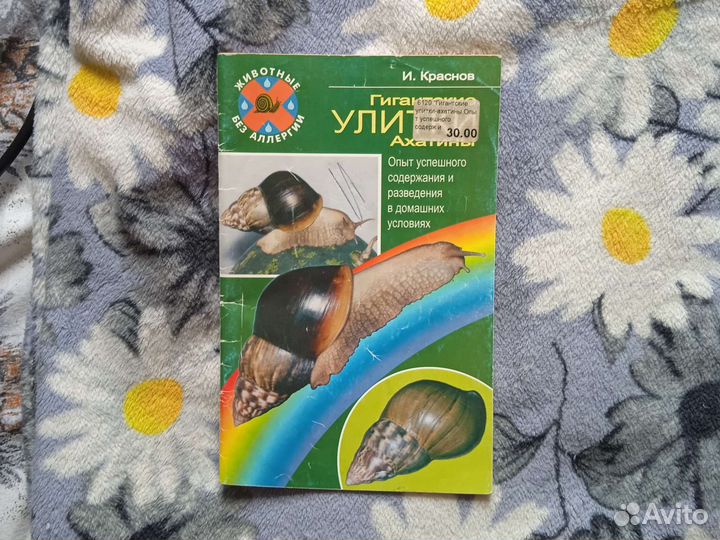 Книги отдам бесплатно