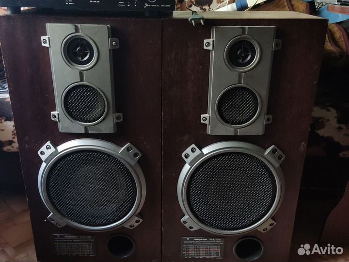 Акустические колонки с усилителем