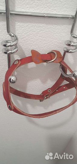 Товары для собак