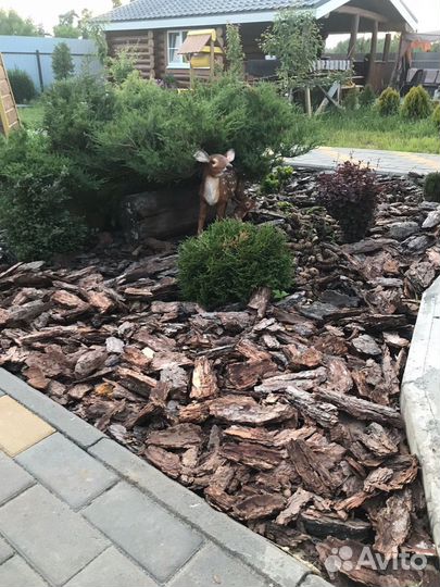 Кора сосновая/мульча