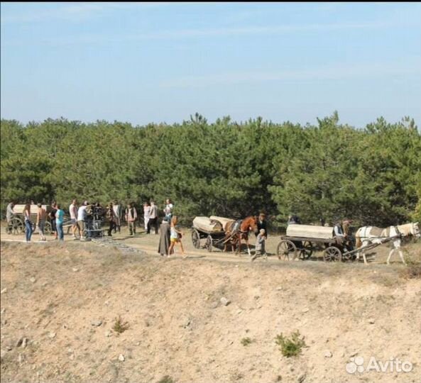 Телеги, фаэтон