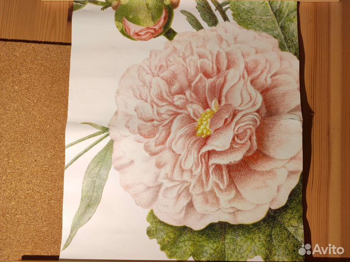 Набор постеров IKEA с пионами