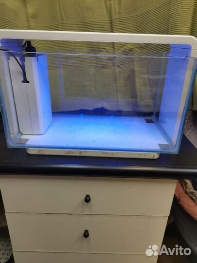 Аквариум