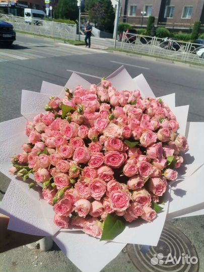 51 Роза кустовая