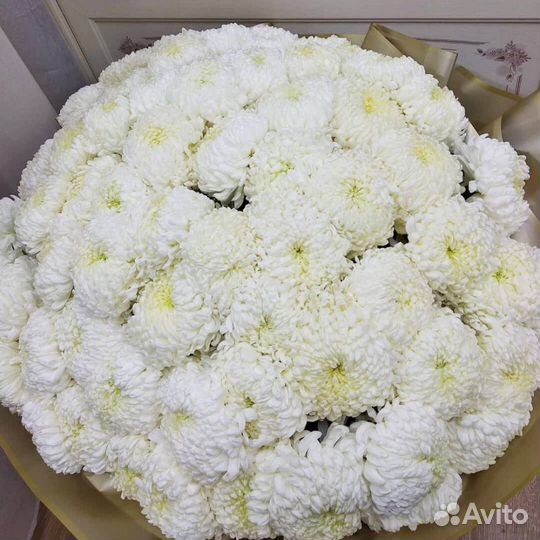 Букет из одноголовой Хризантем Букет Владимир