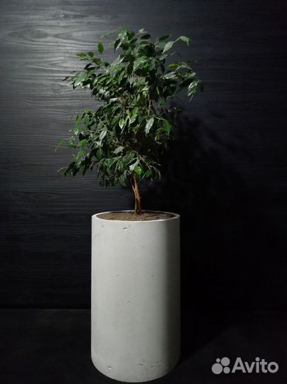 Горшки, Вазоны, Кашпо под заказ из бетона