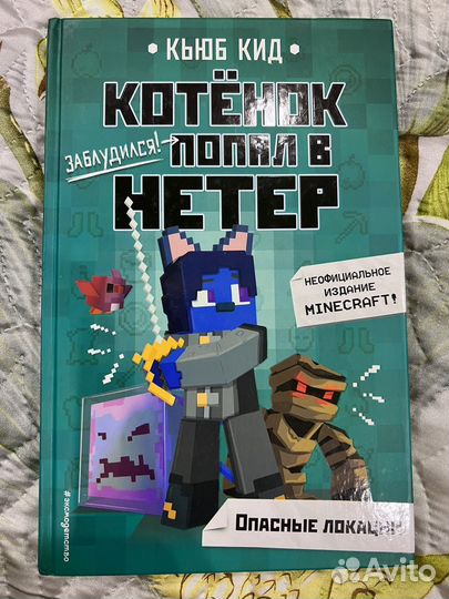 Котенок попал в Нетер