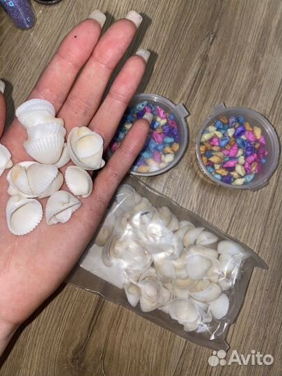 Морские ракушки