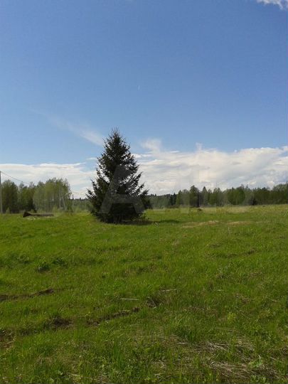 Участок 3,5 га (СНТ, ДНП)