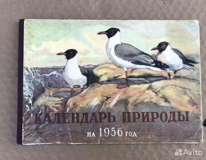 Календарь природы на 1956 год