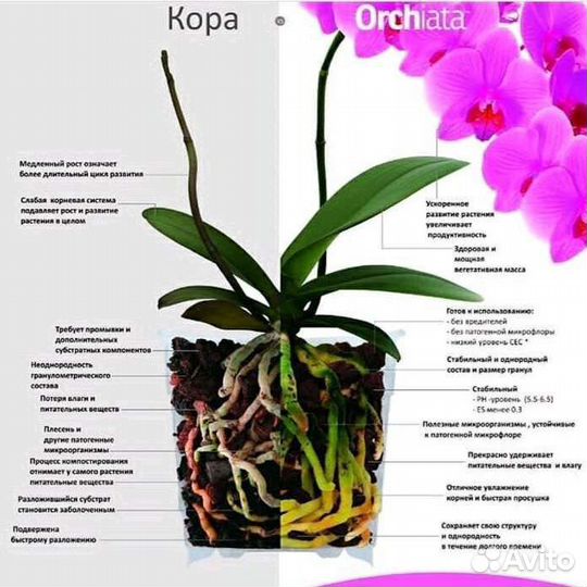 Орхиата кора для орхидей
