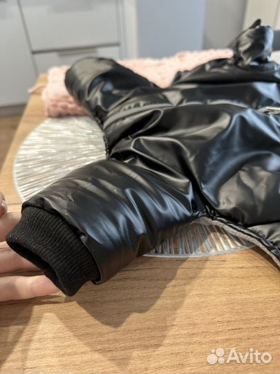 Одежда для собак