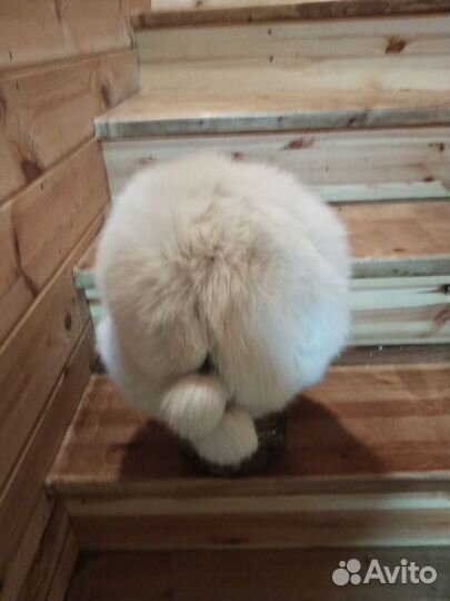 Шапка зимняя натуральный мех