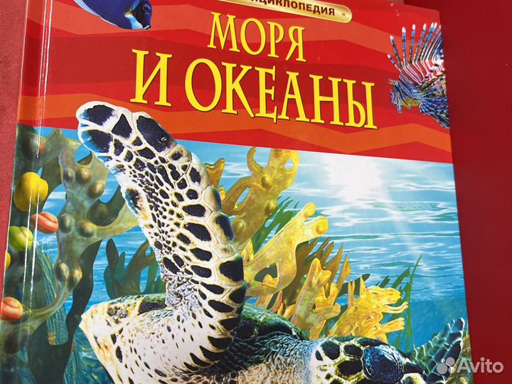 Детская энциклопедия моря и океаны
