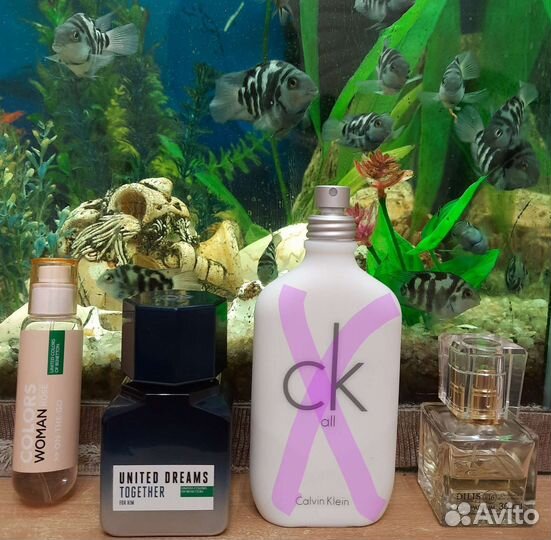 Туалетная вода /Benetton/Духи