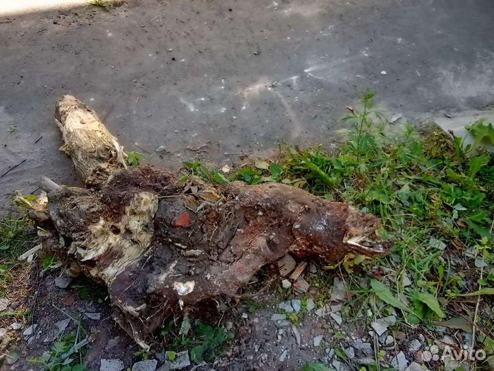 Помощь в саду