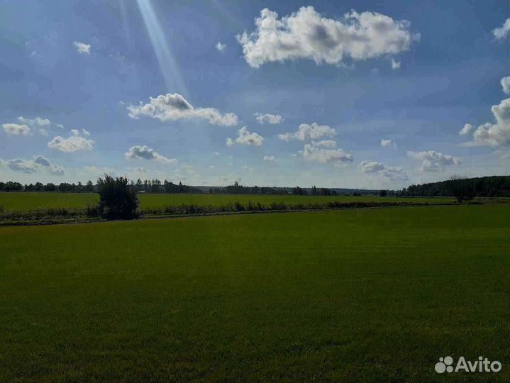 Укладка рулонного газона