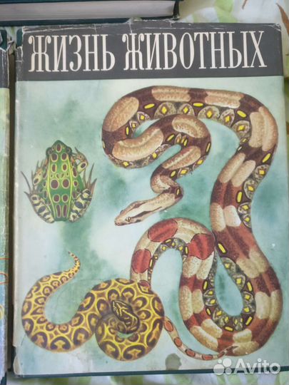 Жизнь животных 1,4,5 тома
