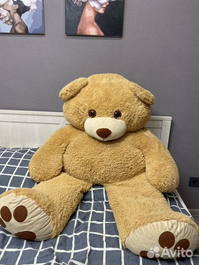 Большие плюшевые медведи